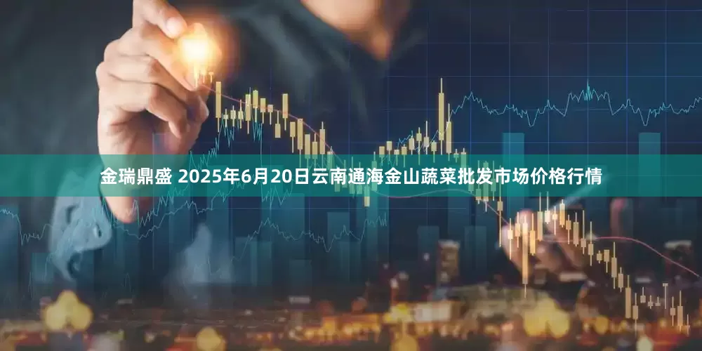金瑞鼎盛 2025年6月20日云南通海金山蔬菜批发市场价格行情