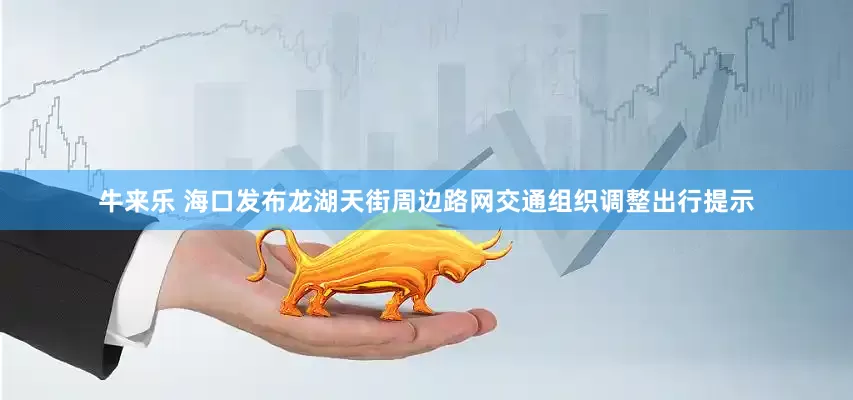 牛来乐 海口发布龙湖天街周边路网交通组织调整出行提示